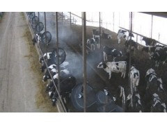 豬圈雞棚牛舍噴霧自動消毒除臭設(shè)備-- 深圳市東佳強(qiáng)環(huán)保科技有限公司